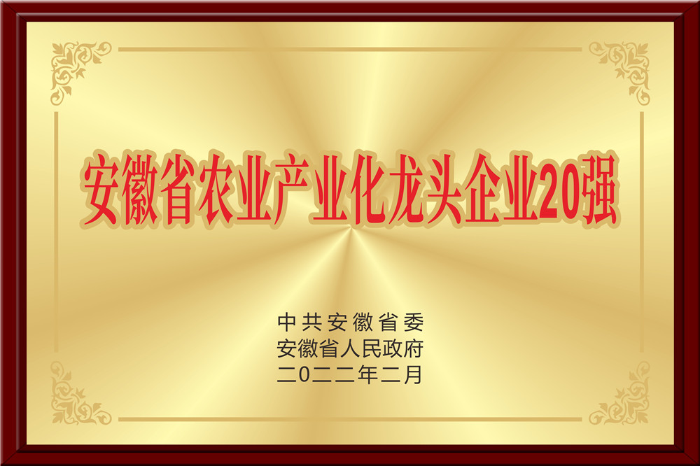 安徽省農業(yè)產(chǎn)業(yè)化龍頭企業(yè)20強